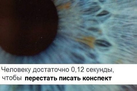 Человеку достаточно 0,12 секунды, чтобы перестать писать конспект