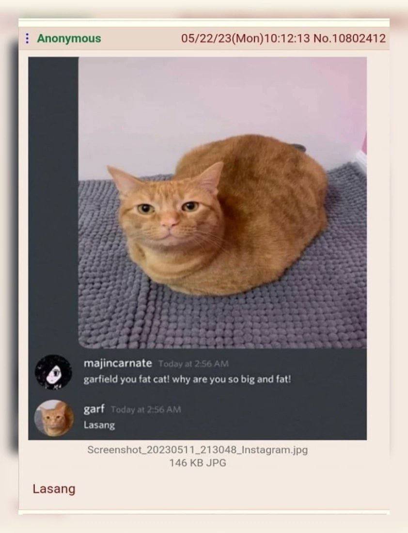 Anonymous 05/22/23(Моп)10:12:13 №.10802412 А 7 majincarnate garfield you fat cat! why are you so big and fat! garf Lasang Screenshot_20230511_213048_Instagram.jpg 146 JPG Lasang