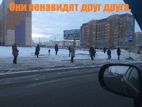 енавидят друг друга