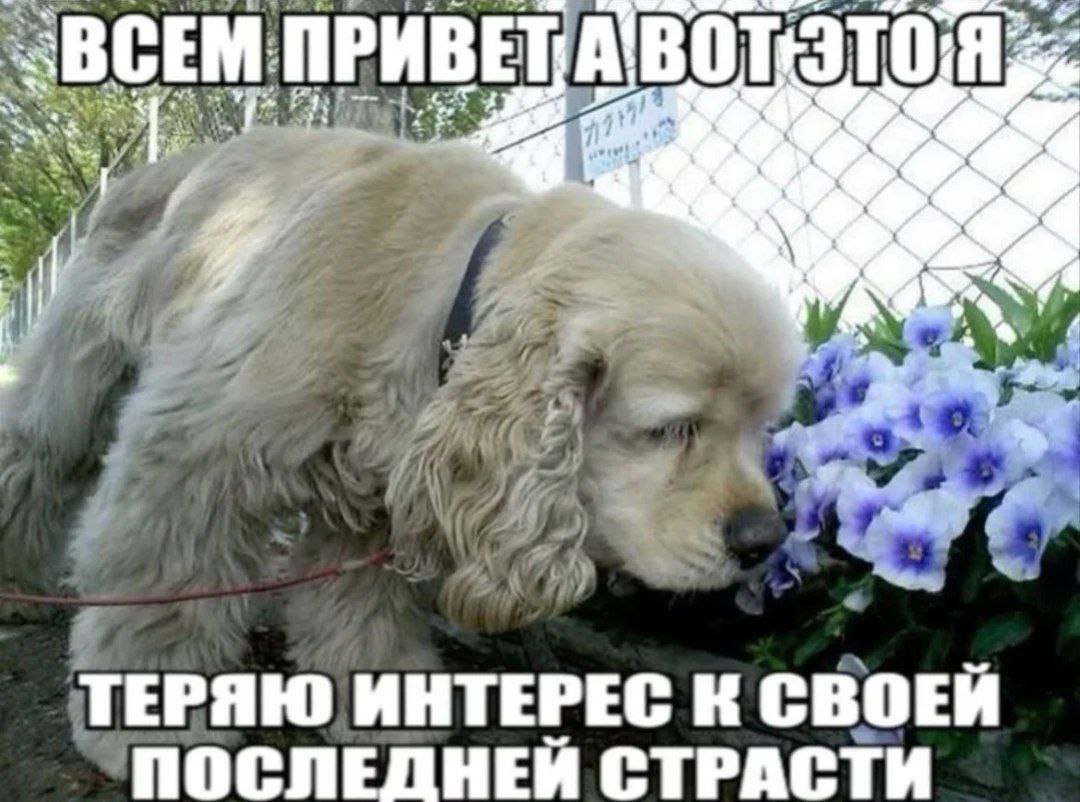 a ТЕРЯЮ ИНТЕРЕС К СВОЕЙ ПОСЛЕДНЕЙ СТРАСТИ