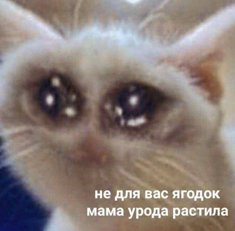 не для вас ягодок мама урода растила