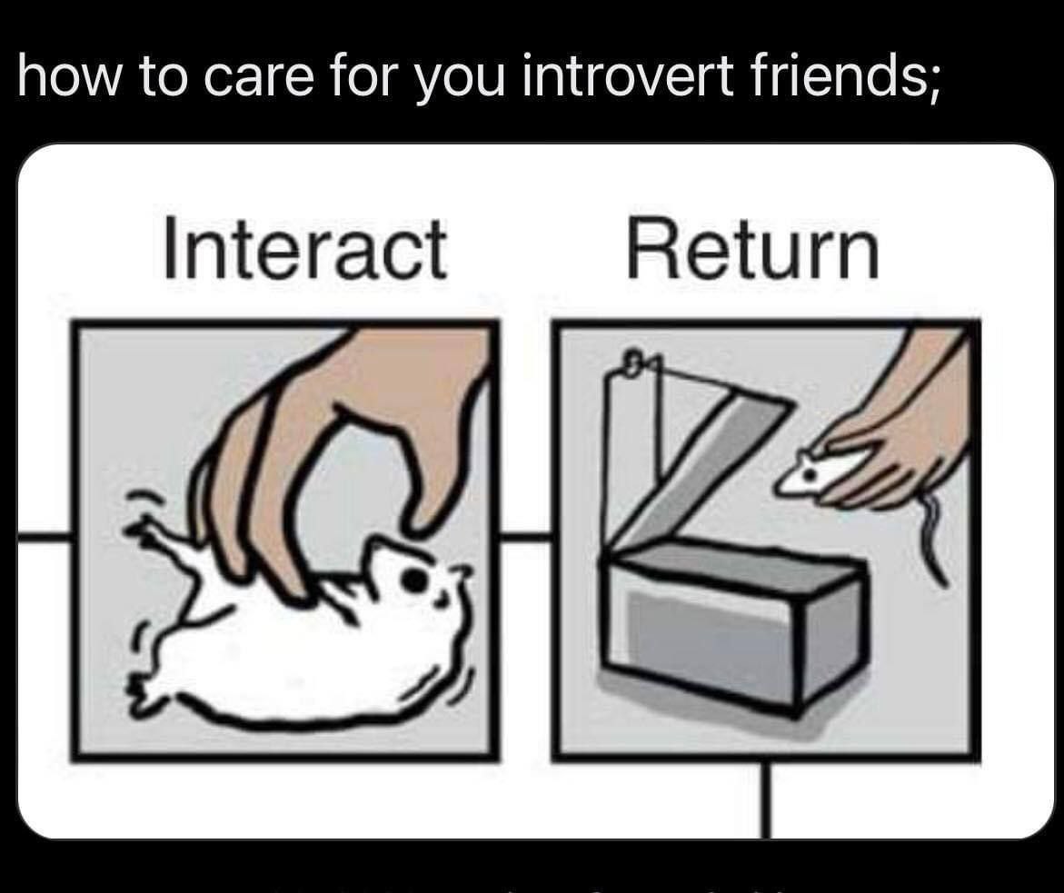 how to саге for you introvert friends; Interact Return