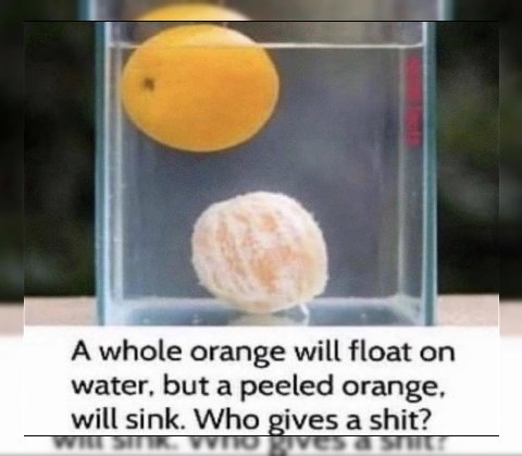 i A whole orange will float on water, but a peeled orange, will sink. Who а shit?