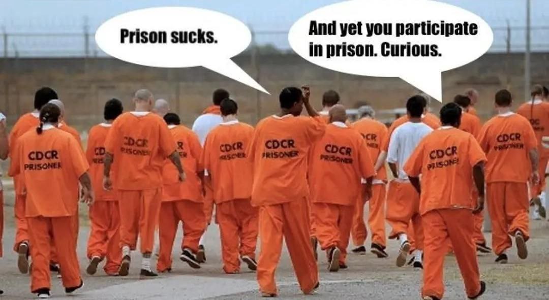 Prison sucks. And yet you participate in prison. Curious a