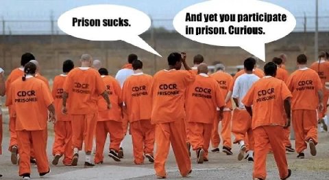 Prison sucks. And yet you participate in prison. Curious a