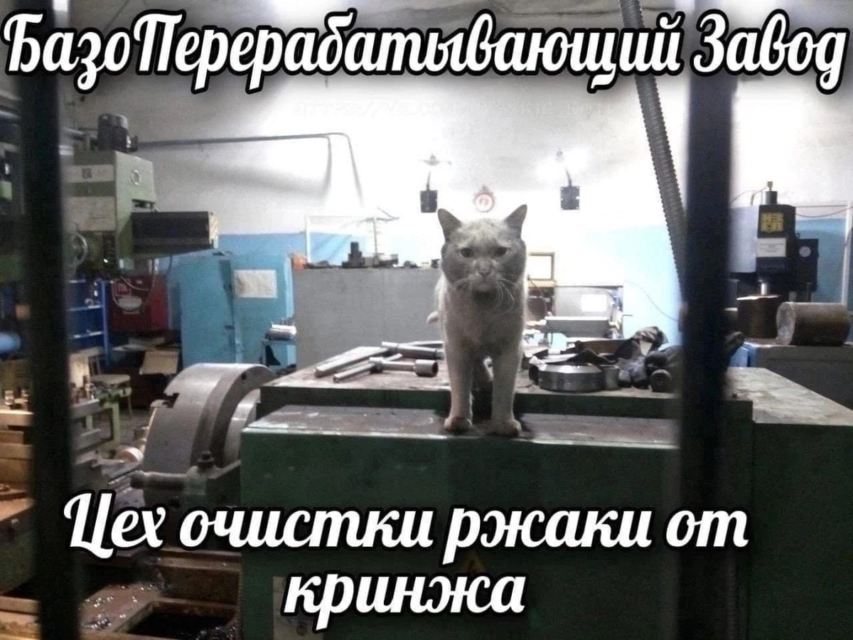 Базо Цех очистки ржаки кринжа