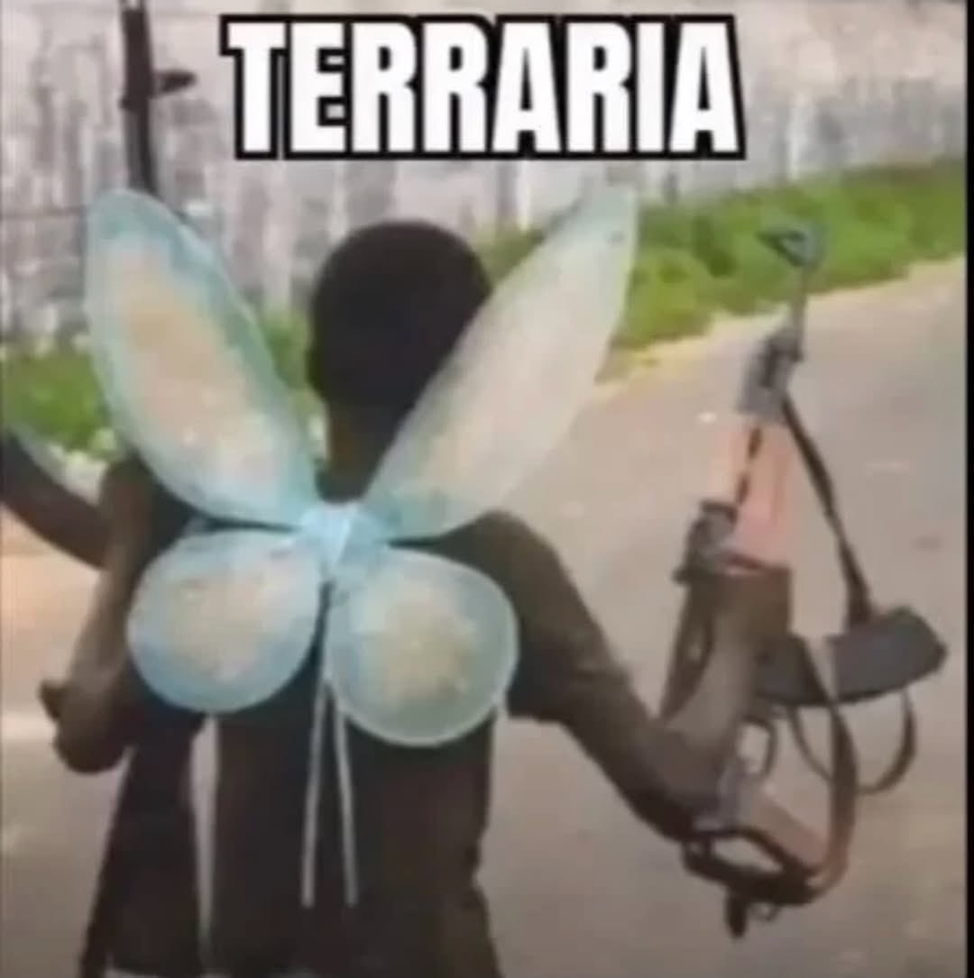 TERRAR