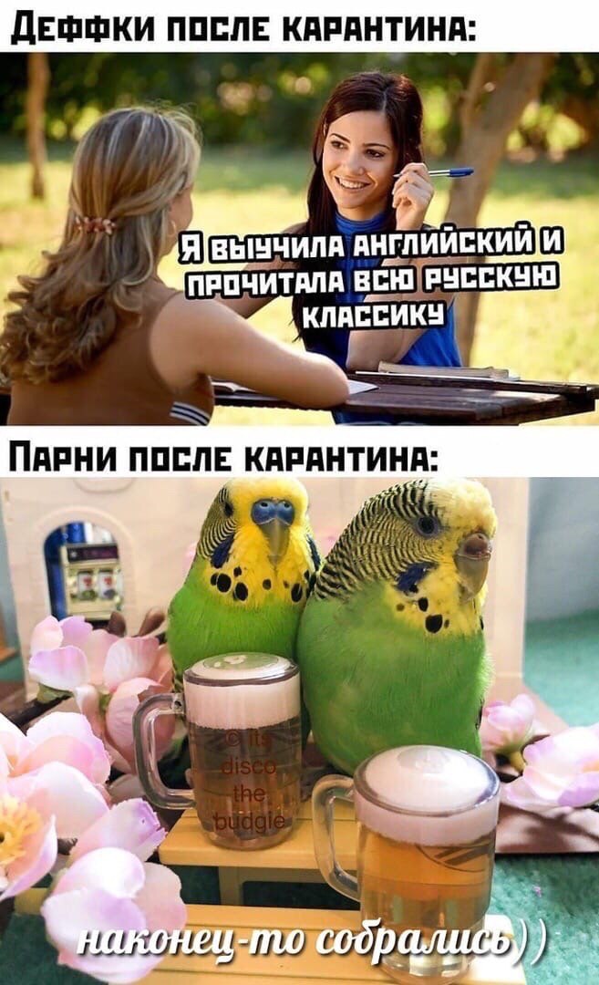 ВЫЧЧИЛА АНГЛИЙСКИЙ ПРОЧИТАЛА КЛАССИКУ ПАРНИ КАРАНТИНА: К