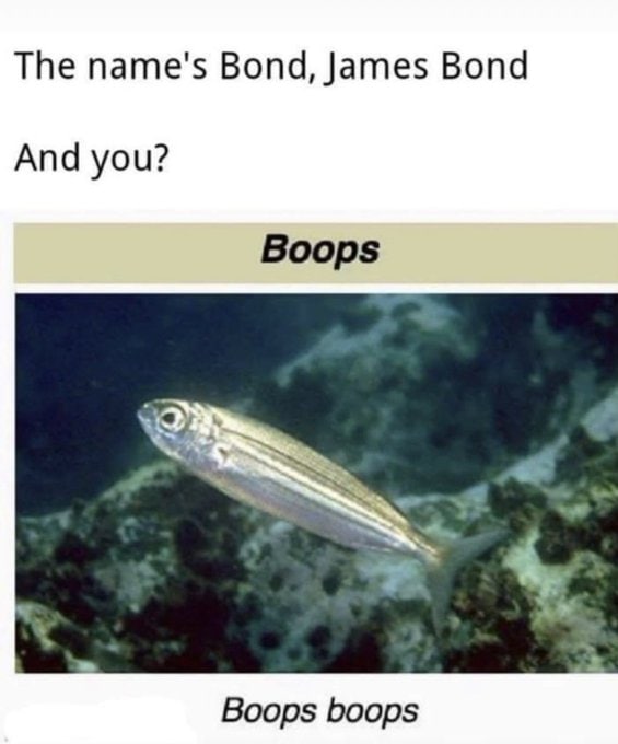 The name's Bond, James Bond And you? Boops Boops boops