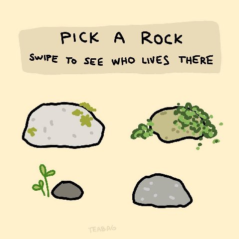 Rock К A WHO LIVES THERE
