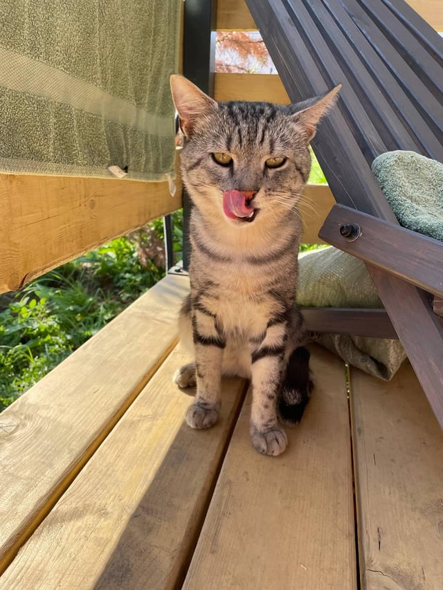 Blep-blep. haha.