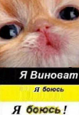 a Я Виноват Я боюсь Я боюсь!