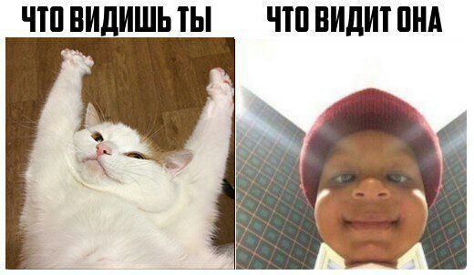 ЧТОВИДИТ OHA ЧТО ВИДИШЬ ТЫ