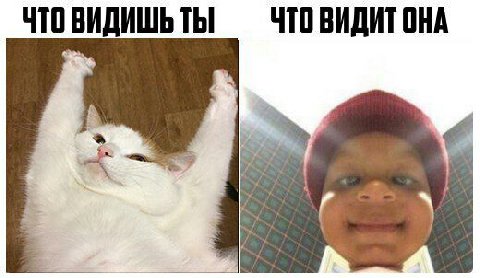 ЧТОВИДИТ OHA ЧТО ВИДИШЬ ТЫ