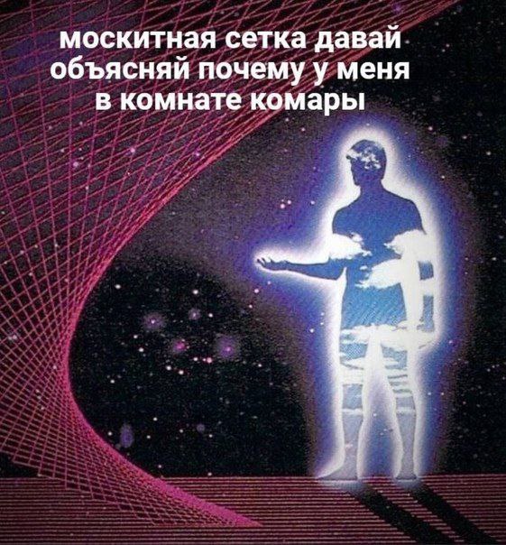 москитная сетка давай объясняй почему у меня в комнате комары