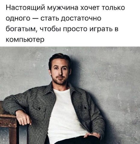 Настоящий мужчина хочет только одного стать достаточно богатым, чтобы просто играть в компьютер