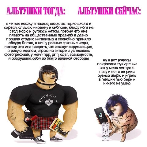 АЛЬТУШКИ АЛЬТУШКИ я читаю кафку и ницше, шарю за тарковского и карвая, слушаю нирвону и сибпонк, ноги на стол, корю и матом, потому что мне плевоть на общественные правила и давно прошла стадию нигили