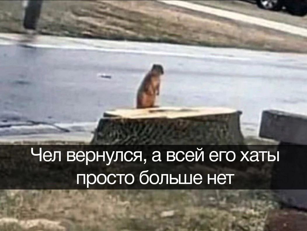 Чел вернулся, а всей его хаты просто больше нет