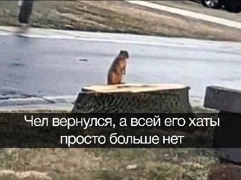 Чел вернулся, а всей его хаты просто больше нет