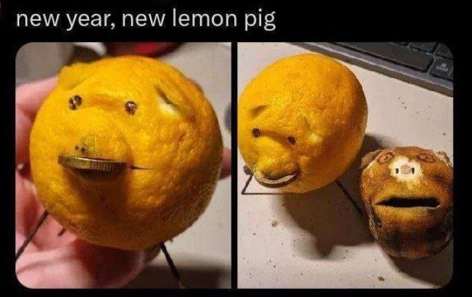 new year, new lemon pig 1 5$ a