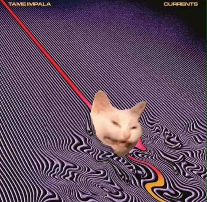 TAME CURRENTS ANN ale ~4