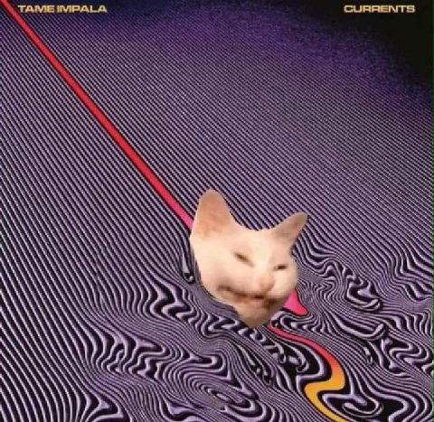 TAME CURRENTS ANN ale ~4