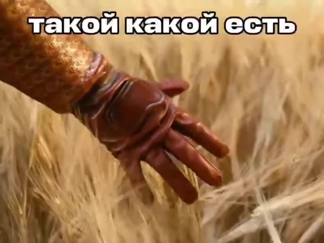 такой какойесть ивсёпотому что