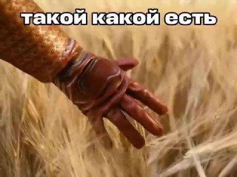 такой какойесть ивсёпотому что