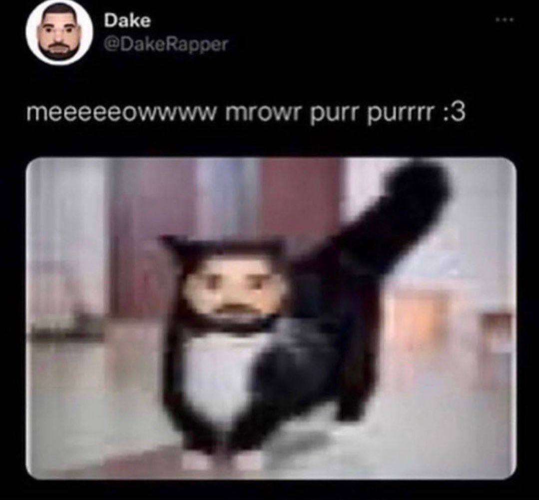 Dake per meeeeeowwww mrowr purr purrrr :3