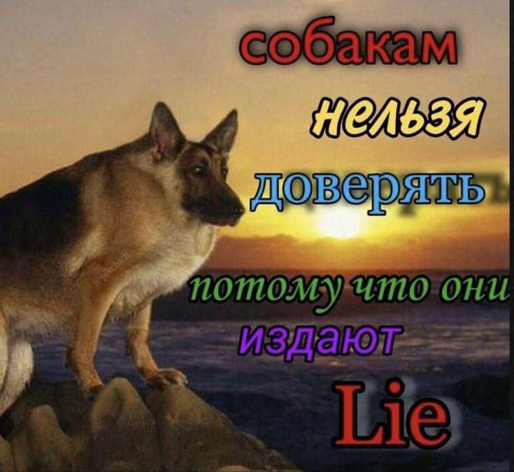 OHU