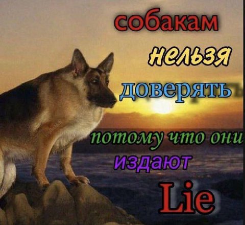 OHU