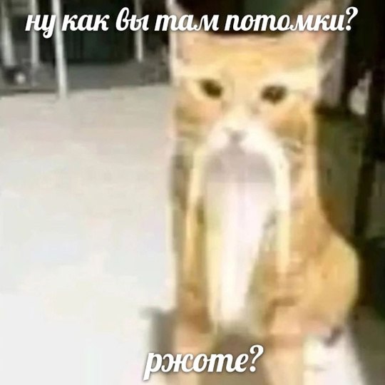 0 0 `- «