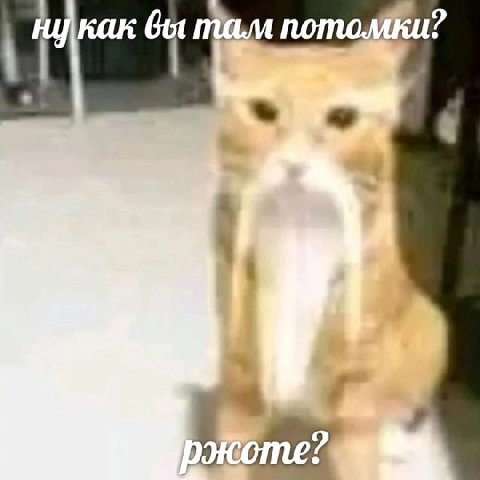 0 0 `- «
