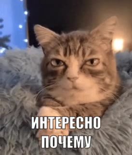 _ ИНТЕРЕСНО ИНМЕРЕСНО *