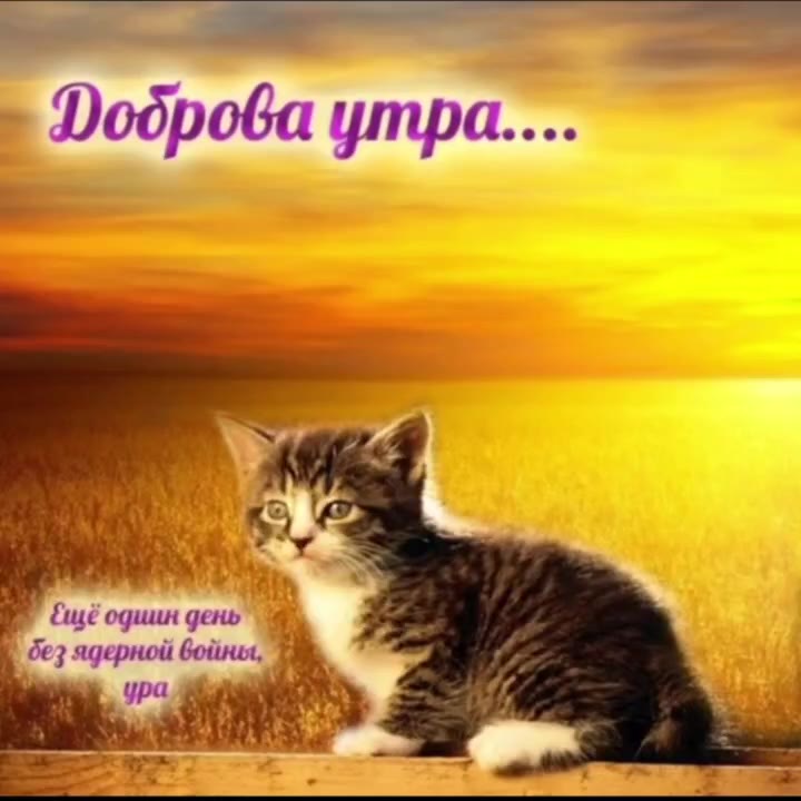 одиин день]