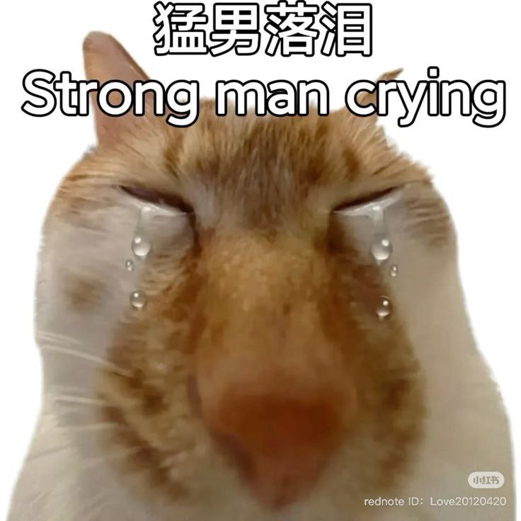 LY ainkeh Sitromeenn —— <