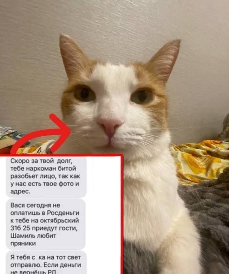 Скоро за твой долг, тебе наркоман битой Sia разобьет лицо, Tak как у нас есть твое фото и адрес. Вася сегодня не оплатишь в Росденьги к тебе октябрьский 316 25 приедут гости, Шамиль любит пряники Я те