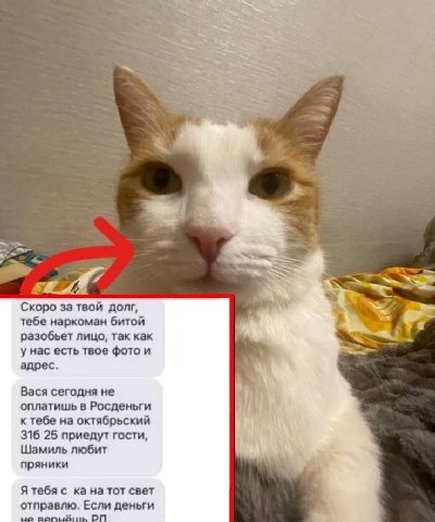 Скоро за твой долг, тебе наркоман битой Sia разобьет лицо, Tak как у нас есть твое фото и адрес. Вася сегодня не оплатишь в Росденьги к тебе октябрьский 316 25 приедут гости, Шамиль любит пряники Я те