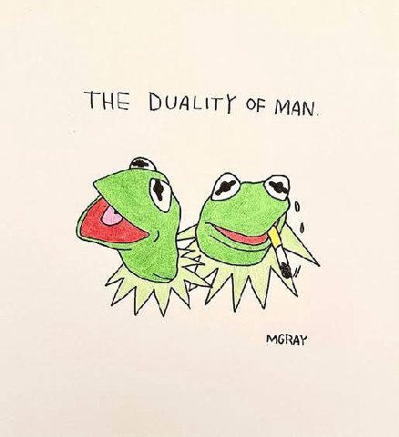 THE DUALITY oF МАМ MGRAY