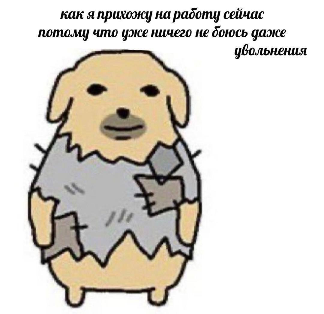как я прихожу на padomy сейчас что уже ничего не боюсь даже увольнения A