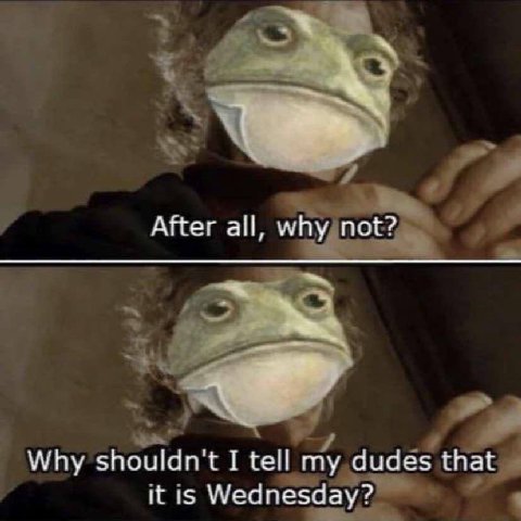 After all, why not? Why shouldn't I tell my dudes that it is Wednesday?
