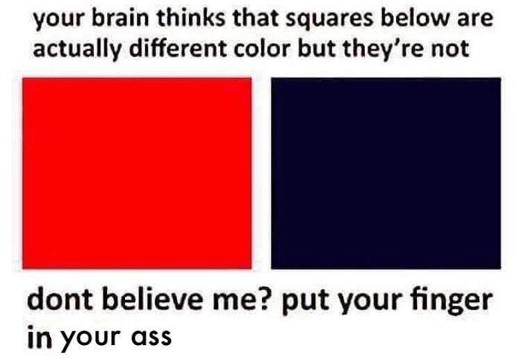 your brain thinks that squares below are actually different color but they’re not dont believe me? put your finger in your ass