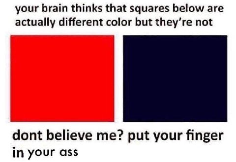 your brain thinks that squares below are actually different color but they’re not dont believe me? put your finger in your ass