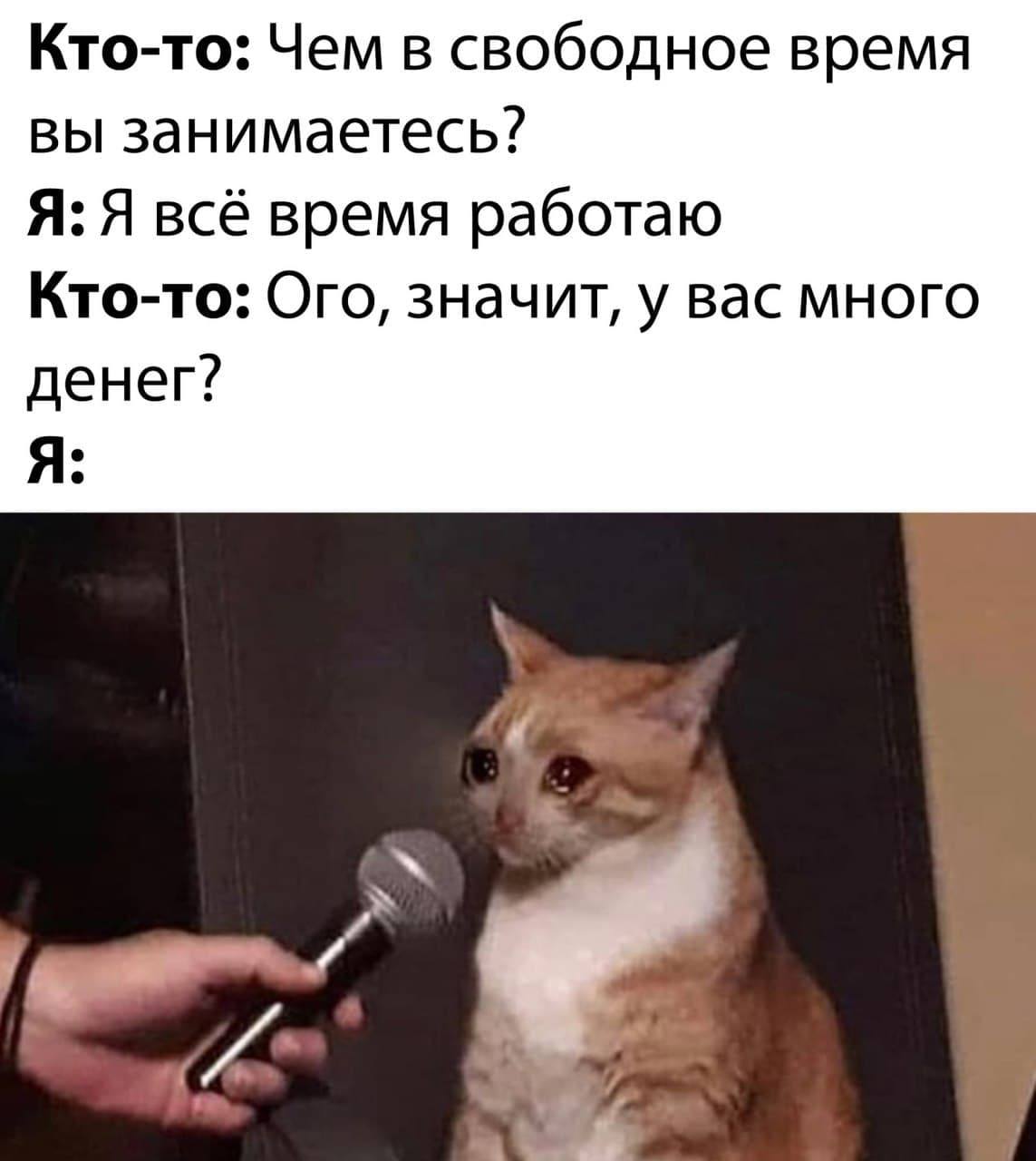 Кто-то: Чем в свободное время вы занимаетесь? Я: Я всё время работаю Кто-то: Ого, значит, у вас много денег? Я