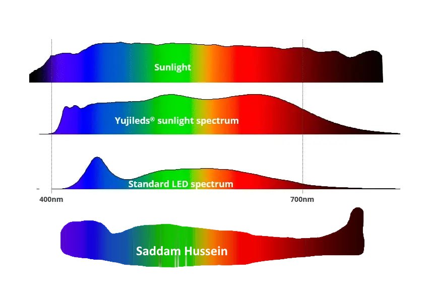 Yujileds® sunligh rum Standard LED rum Saddam Hussein