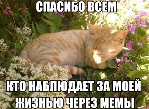 СПАСИБО: we ore КТО НАБЛЮДАЕТ ЗА МОЕЙ" МЕМЫ