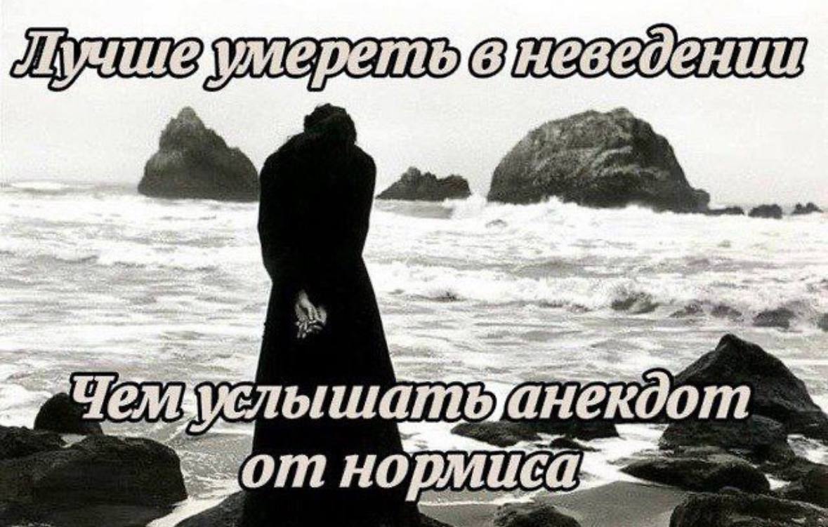 ‚от нортиса