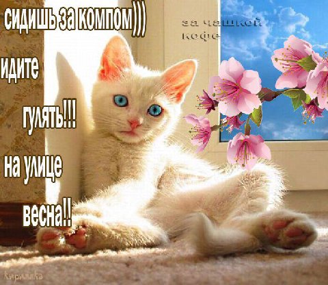 Кофе Be a -4