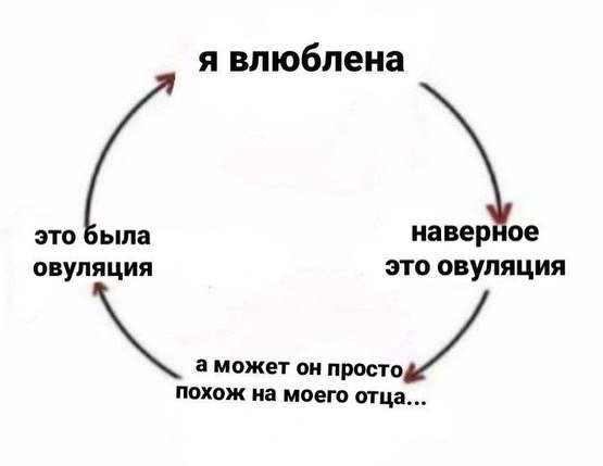 я влюблена это овуляция это овуляция а может он похож на моего отца...
