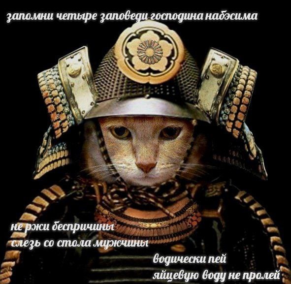 запомни заповеди набэсима at не ржи слезь стола мужчины бодически пей не пролей